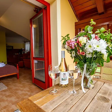 Guest house Sinfonietta