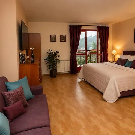 Sonata Guest house 3*