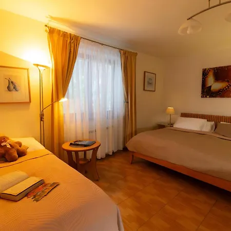 Sonata Guest house 3*