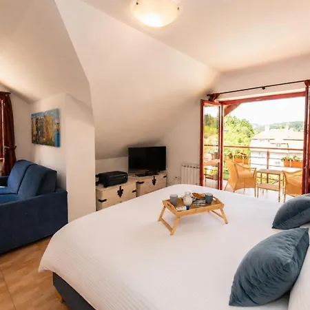 Guest house Sonata Luhacovice