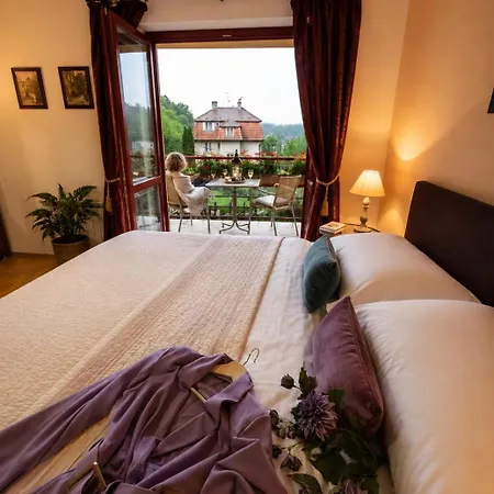 Guest house Sonata Luhacovice